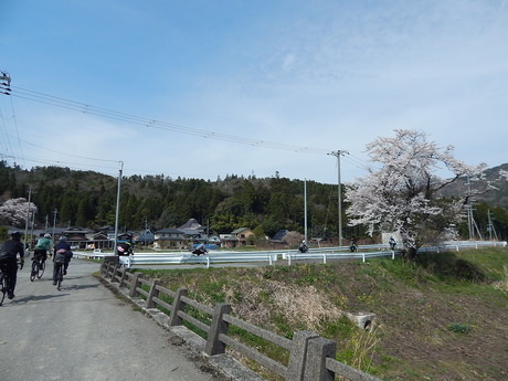 DSCN9113