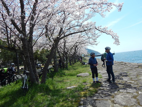 DSCN8939