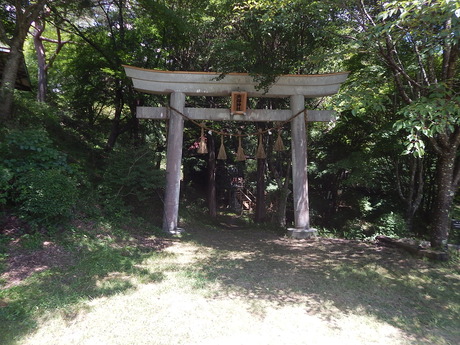 DSCN0261
