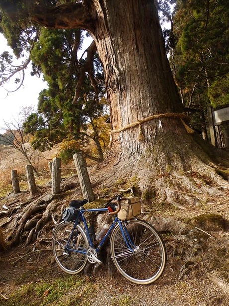 s-PB040705nagano