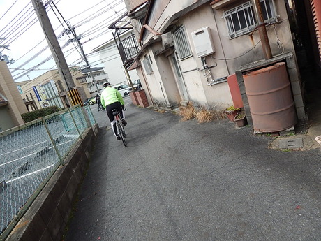 DSCN6615