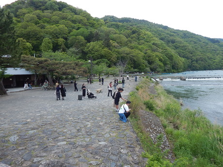 DSCN7361