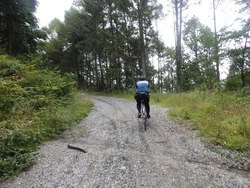 s-P9180809takabocchi