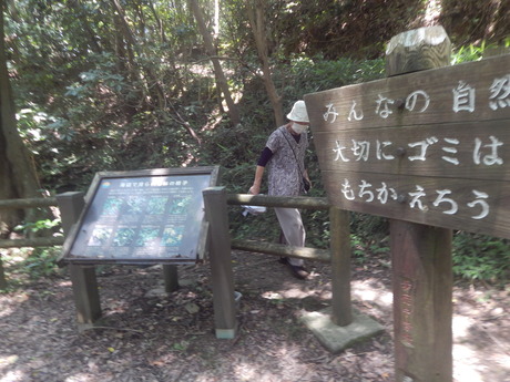 DSCN8446