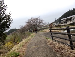 s-P3250430uda