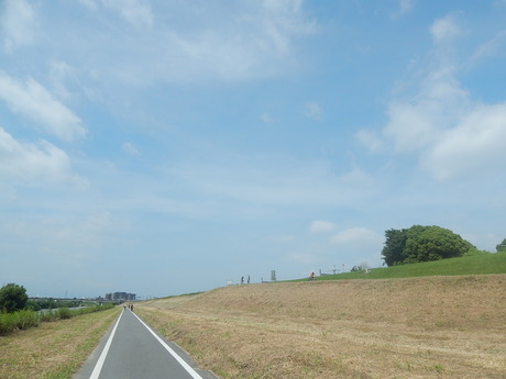DSCN8175