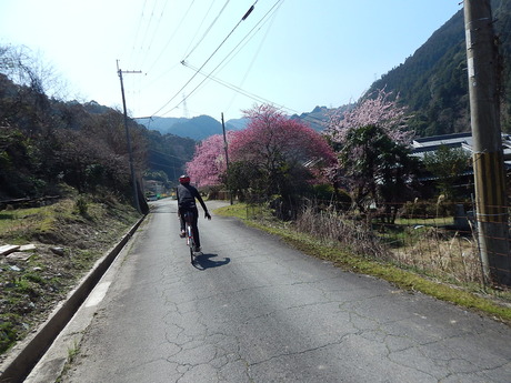 DSCN7186