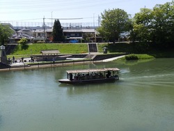 s-P4220112fushimi
