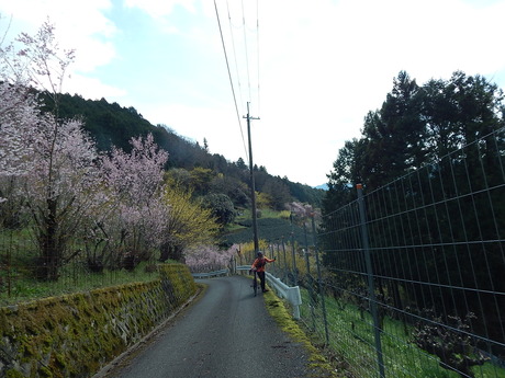 DSCN7850