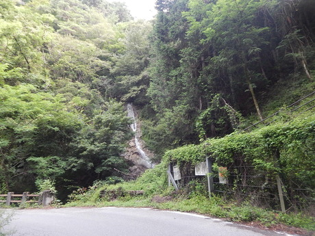 DSCN0909