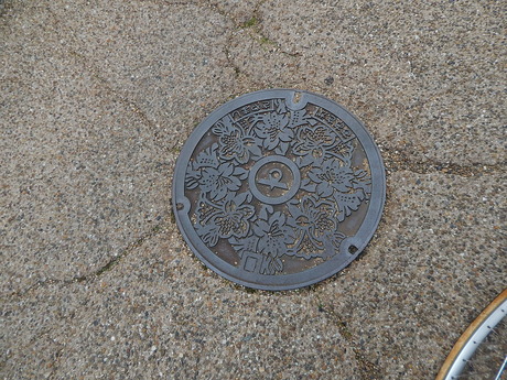 DSCN3163