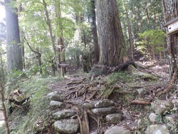 s-P8130305shikoku