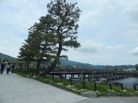 DSCN7357