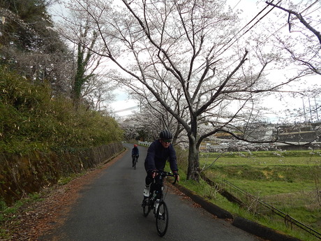 DSCN8095