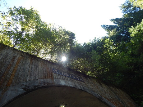 DSCN1042