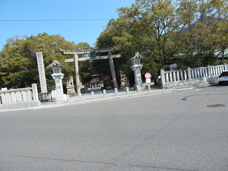 DSCN5343