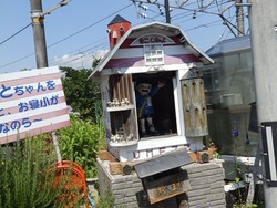 s-P6170139toei