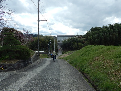 DSCN8234