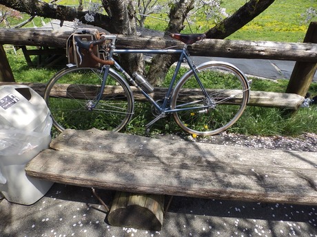 s-P4140390tandem
