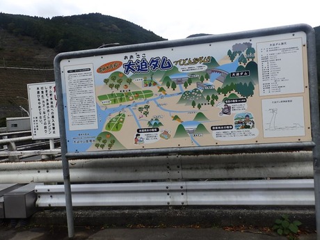 s-PA210130oosako