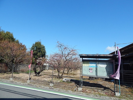DSCN6821