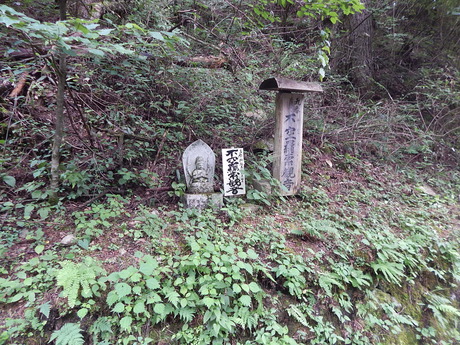 DSCN0913