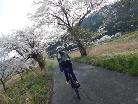 DSCN9324