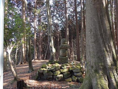 DSCN6370