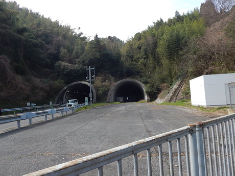 DSCN5094
