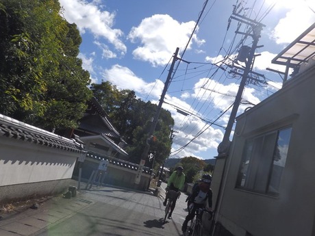 s-PA290315sagano