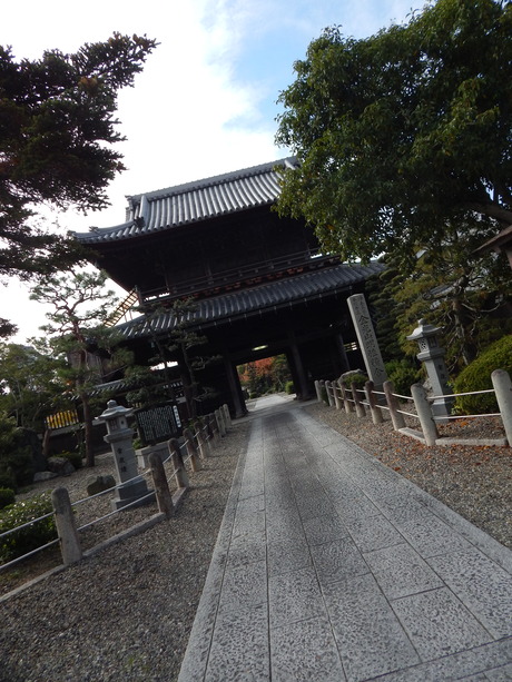 DSCN7042