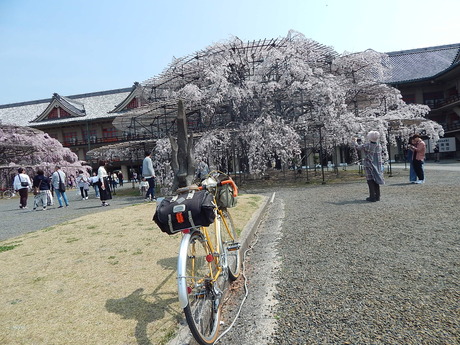 DSCN5865