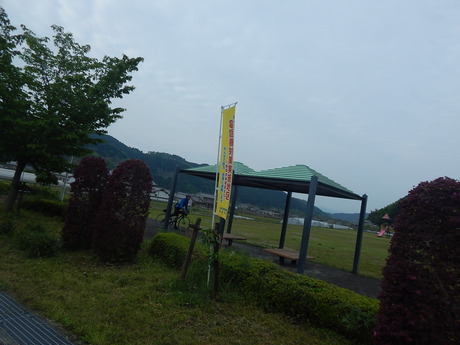 DSCN7546