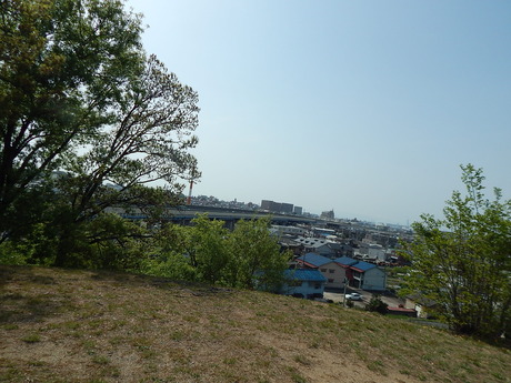 DSCN9654
