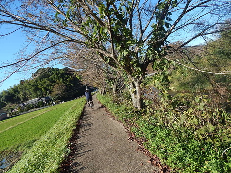 DSCN5684