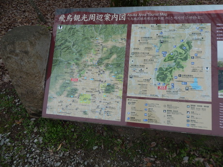 DSCN6145