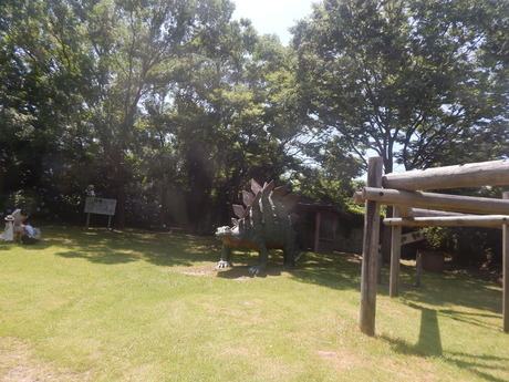 DSCN8430