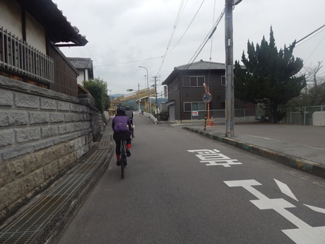DSCN5082