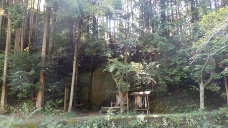P9070359