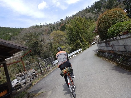 s-P4130208higashiyo