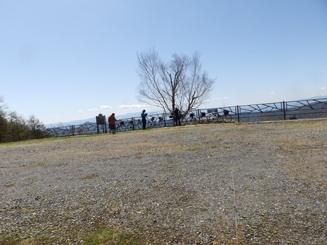 s-P5030270shirabiso