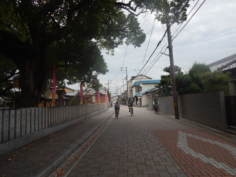 DSCN5215