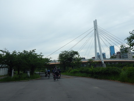 DSCN6587