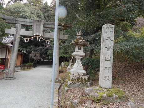 DSCN2101