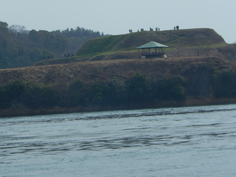 DSCN5105