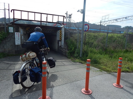 DSCN6750
