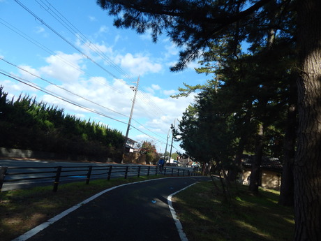 DSCN6646