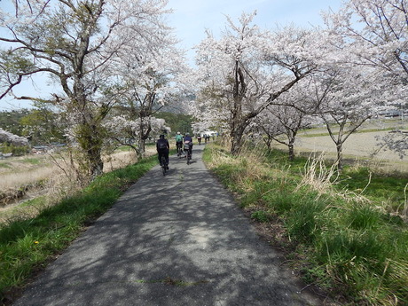 DSCN9105