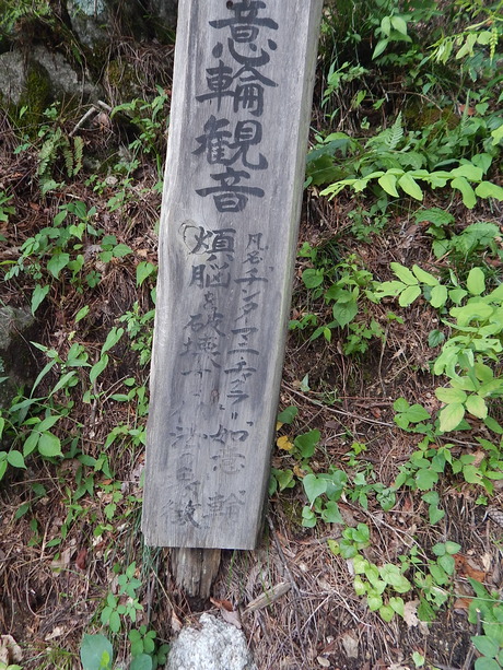 DSCN0912