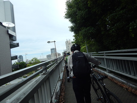 DSCN6556